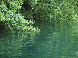 Titel Titel Titel Titel Titel Titel Titel Titel Titel Titel